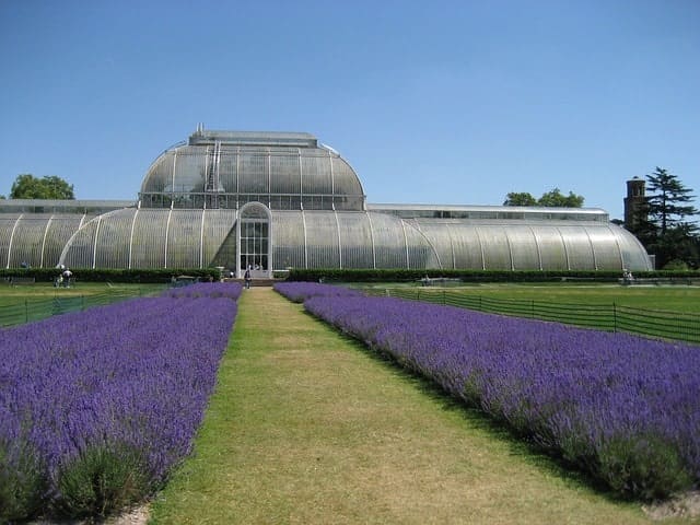 Kew Gardens London