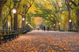 Central Park New York