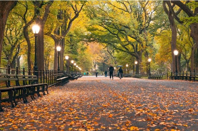 Central Park New York