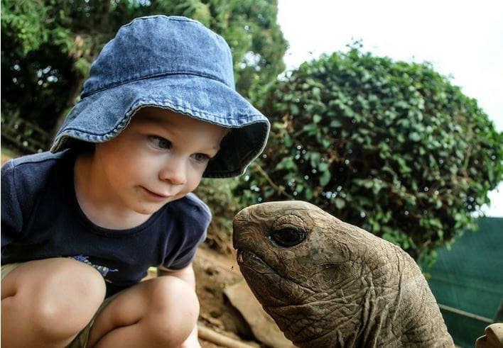 Bahamas Animals