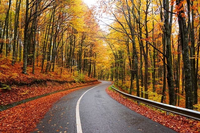 Fall Road Trip Tips