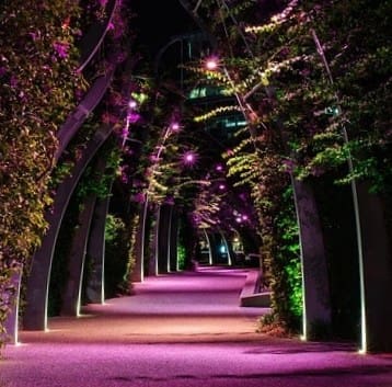 Arbor Brisbane Southbank