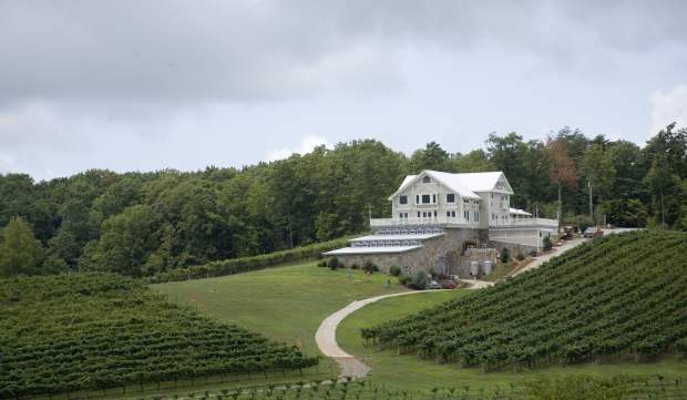 Dahlonega Vineyards