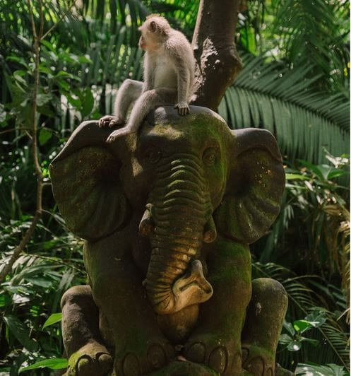 Bali Attractions