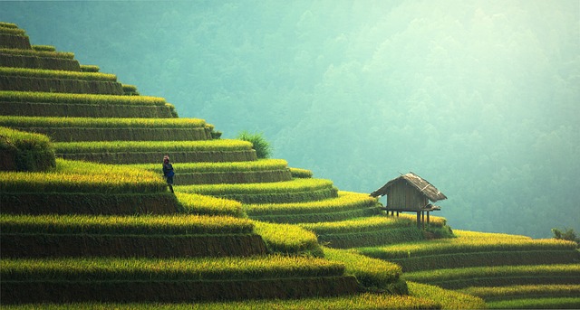 Bali Travel Tips