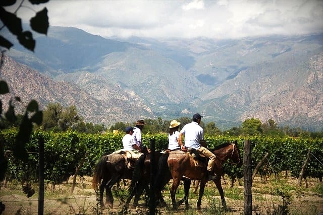 Horseback Riding Vacations