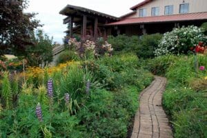 Cristom Vineyards Salem Oregon