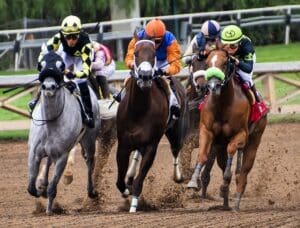 Top Horse Races