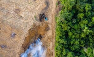 Amazon Deforestation