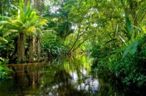 Eco Tourism Tips