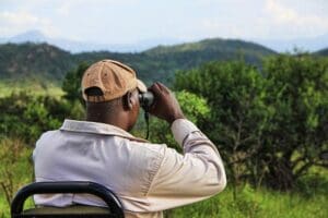 Safari Tips