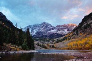 Colorado Fall Aspen Trees