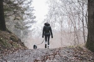 Dog Friendly Destinations