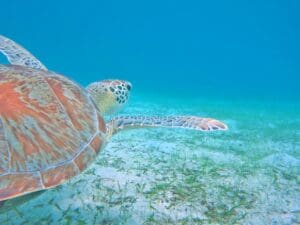 St. John USVI National Park
