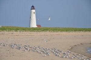 Greater Light Nantucket