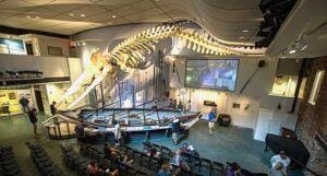 Nantucket Whaling Museum