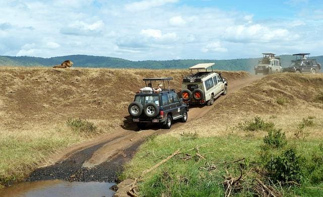 Tanzania Safari Circuits