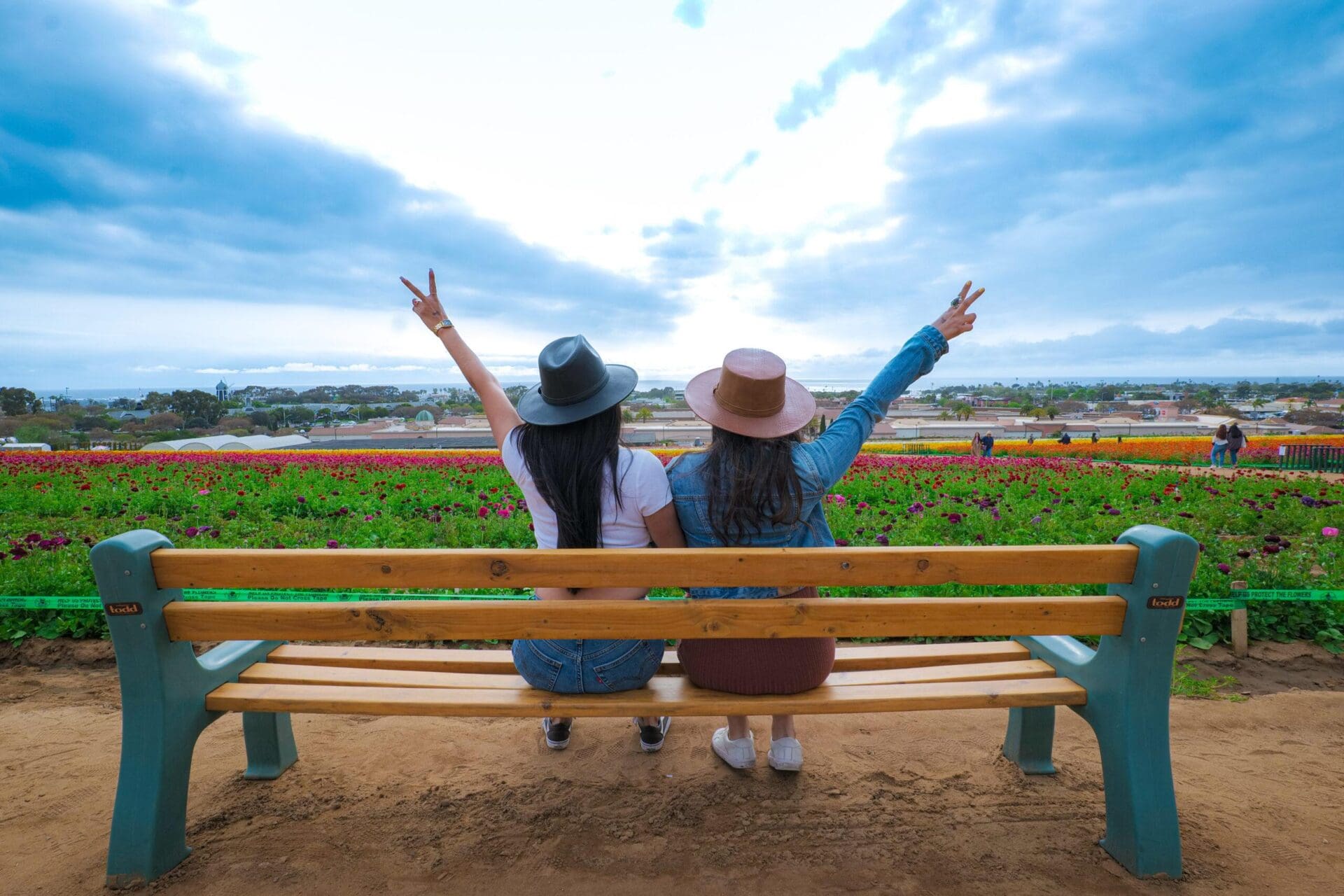 Carlsbad Flower Fields
