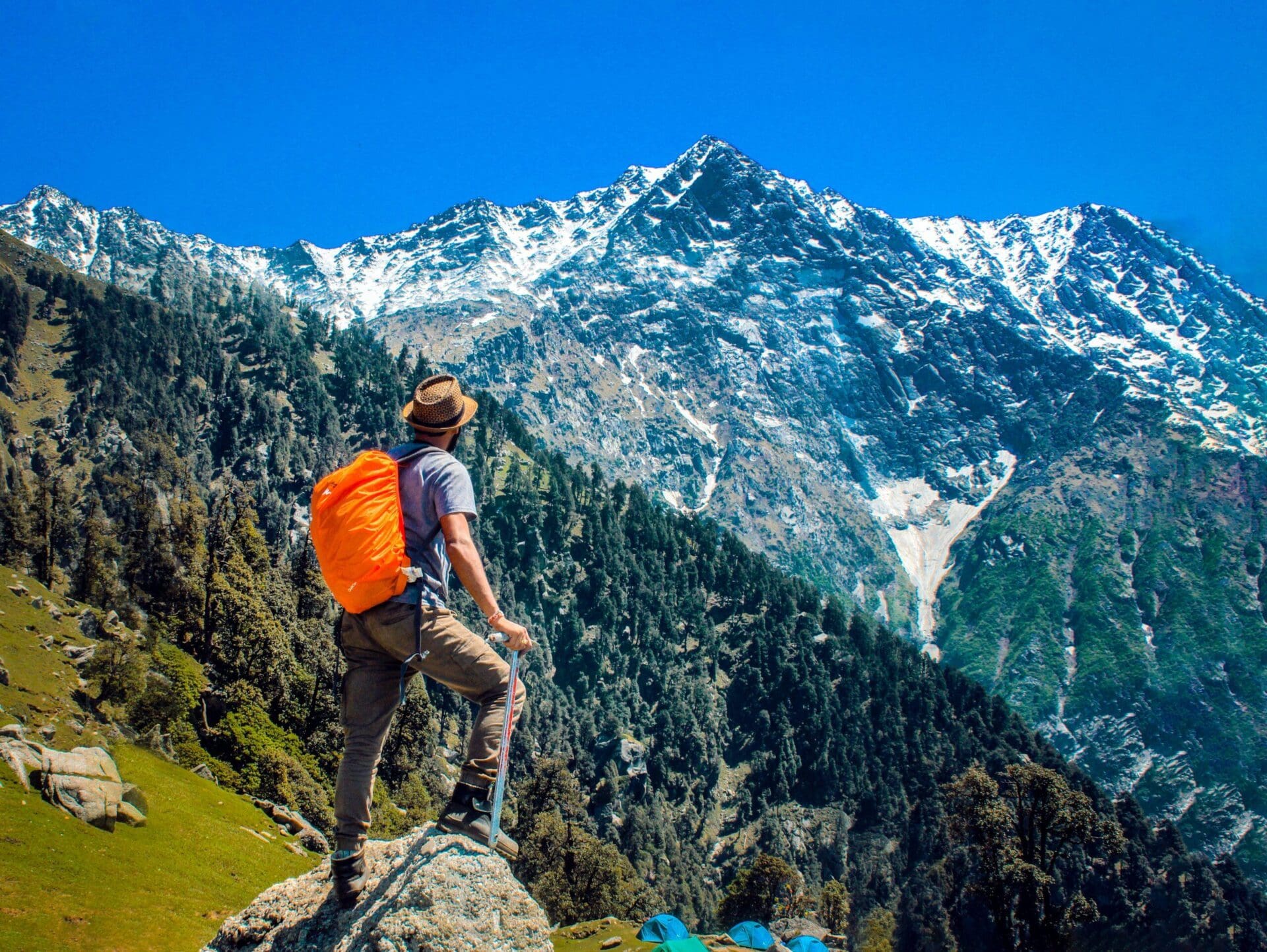 Hiking Trail in North America