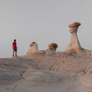 Bisti Badlands New Mexico