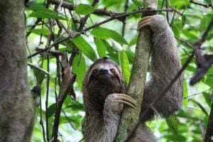 Costa Rica Travel Tips