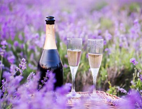 Where To Experience 10 of the Most Beautiful Lavender Fields in the World
