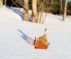 Canada Maple Syrup