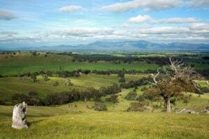 Grampian Mountains