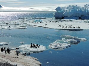 Antarctica Travel Tips