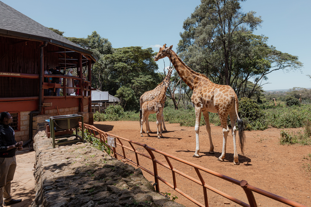 Nairobi National Park