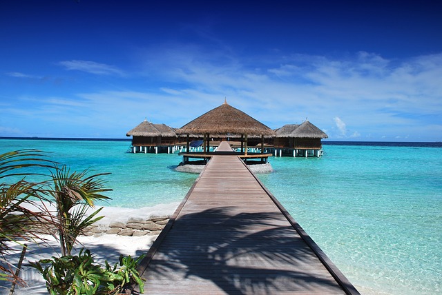 Maldives Travel Tps