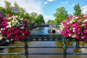 Amsterdam Boat Tours