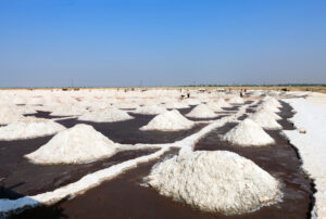 Shambhar Salt Lake Ragisthan