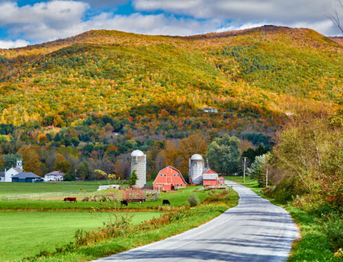 10 Epic New England Scenic Drives for a Perfect Summer Road Trip