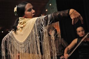 Flamenco Dancer Madrid